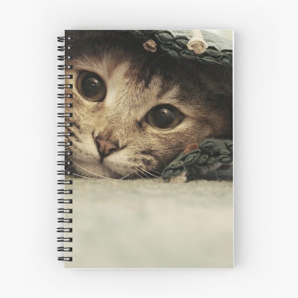Item preview, cat designed and sold by Chukidesign.