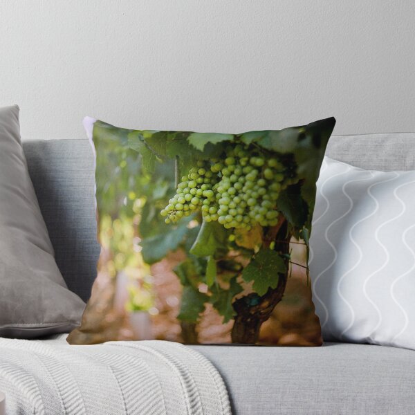 Item preview, Grapes on the vine at Fattorio Poggio Alloro, Tuscany designed and sold by hjlphotos.