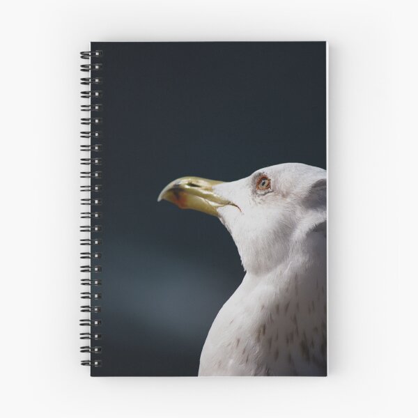 Item preview, Gull designed and sold by KGibbs.