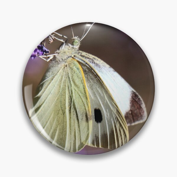 Item preview, Butterfly, a Small White designed and sold by Bird22Shot.