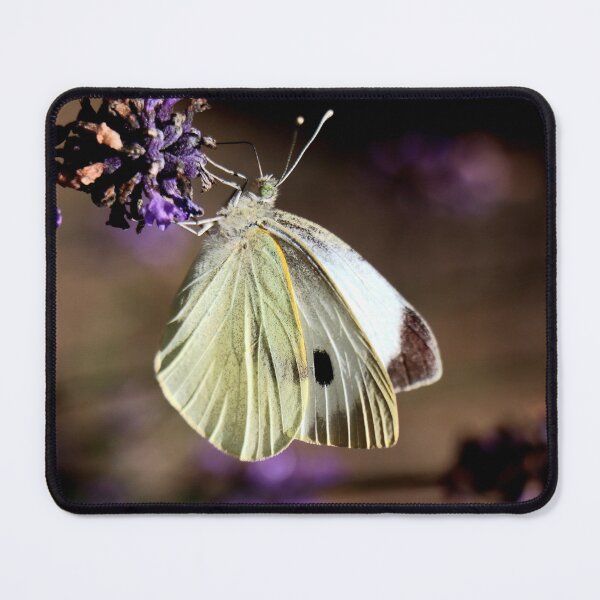 Item preview, Butterfly, a Small White designed and sold by Bird22Shot.