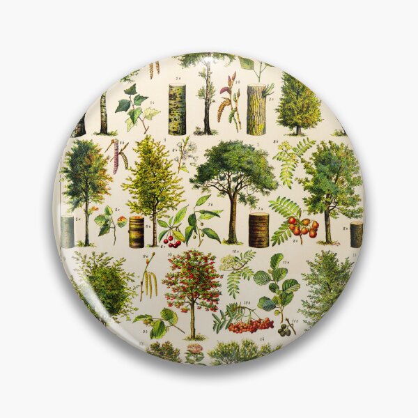 Item preview, Arbres Trees Vintage Illustration Poster Arbor designed and sold by stargazerhill.