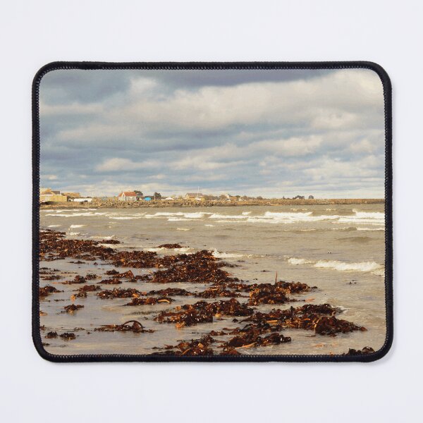 Item preview, After The Storm designed and sold by gundogpic.