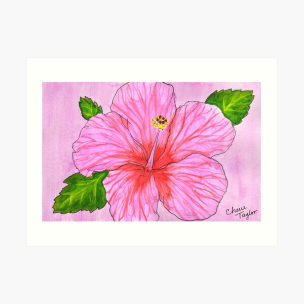 Hibiscus Flower Art Print
