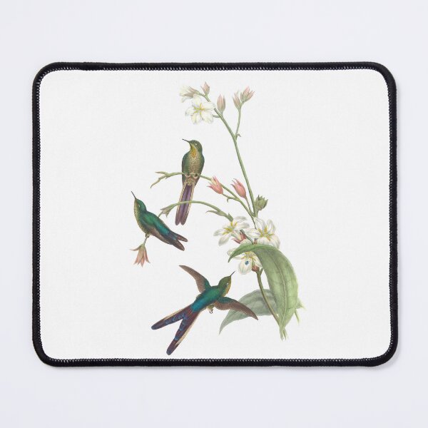 Item preview, Purple Tailed Comet Hummingbirds Vintage Watercolor by John Gould Sweet Pretty Happy Birdwatching Gift designed and sold by ElegantTeaTime.