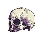 « Crâne » par jafundo