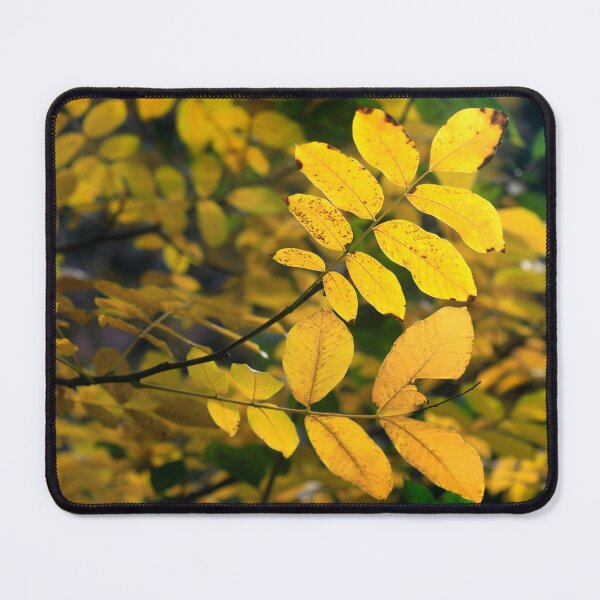 Item preview, Yellow autumn leaves in the tree designed and sold by olena2552.