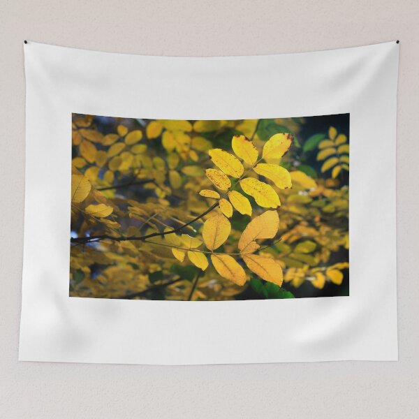 Item preview, Yellow autumn leaves in the tree designed and sold by olena2552.
