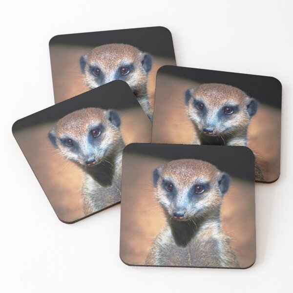 Aperçu de l'œuvre Suricate créée et vendue par Savannah Gibbs.