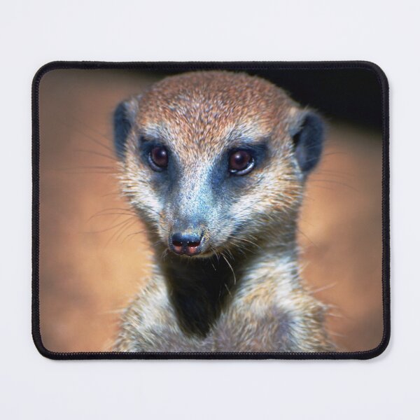 Item preview, Meerkat designed and sold by Savannah Gibbs.