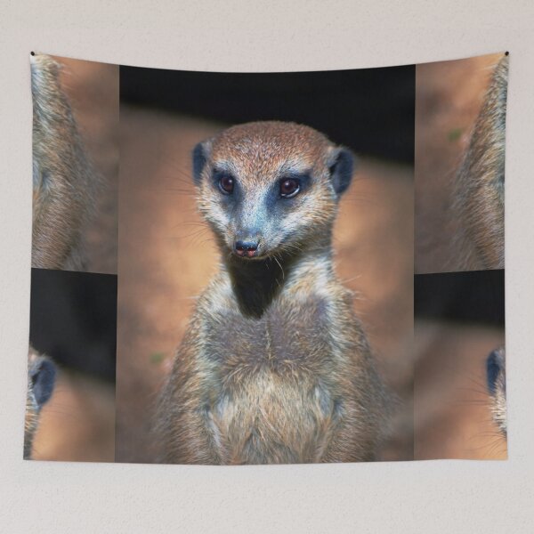 Aperçu de l'œuvre Suricate créée et vendue par Savannah Gibbs.