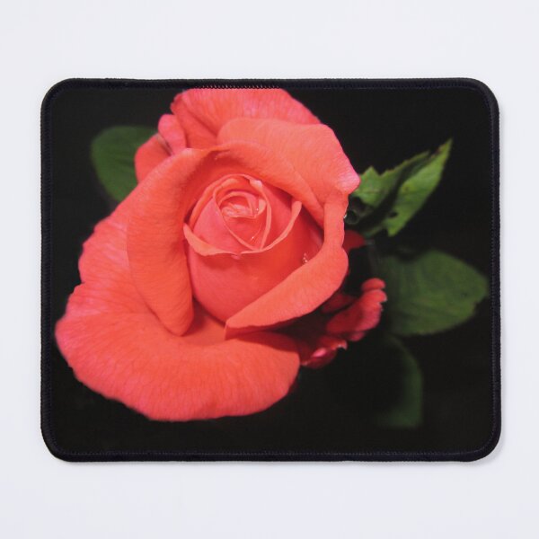 Item preview, Garden Rose designed and sold by lezvee.