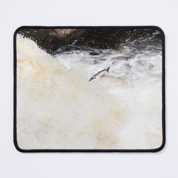 Item preview, Wild leaping silver salmon designed and sold by chanonry.