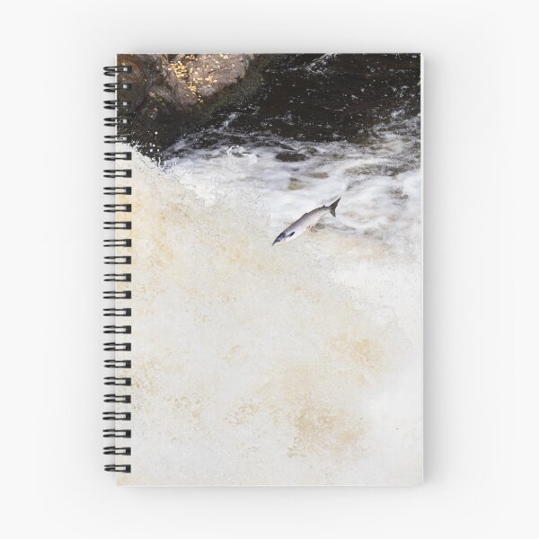 Item preview, Wild leaping silver salmon designed and sold by chanonry.