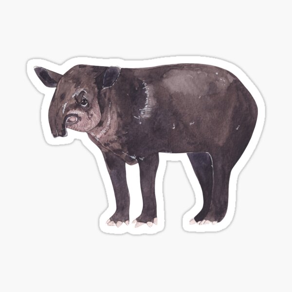 Vista previa del artículo con la obra «MOUNTAIN TAPIR-Tapirus pinchaque», diseñado y vendido por BEATRIZ ABAITUA.