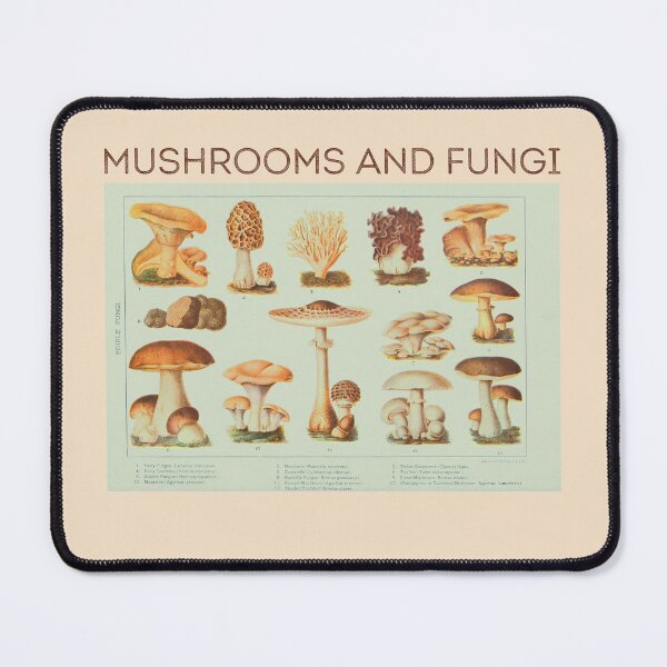 Item preview, Mushrooms and Fungi Vintage Botanical Illustration designed and sold by stargazerhill.