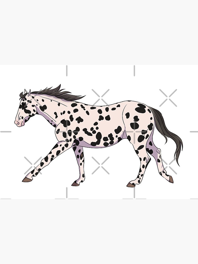 Appaloosa Horse Rearing | Art Board Print