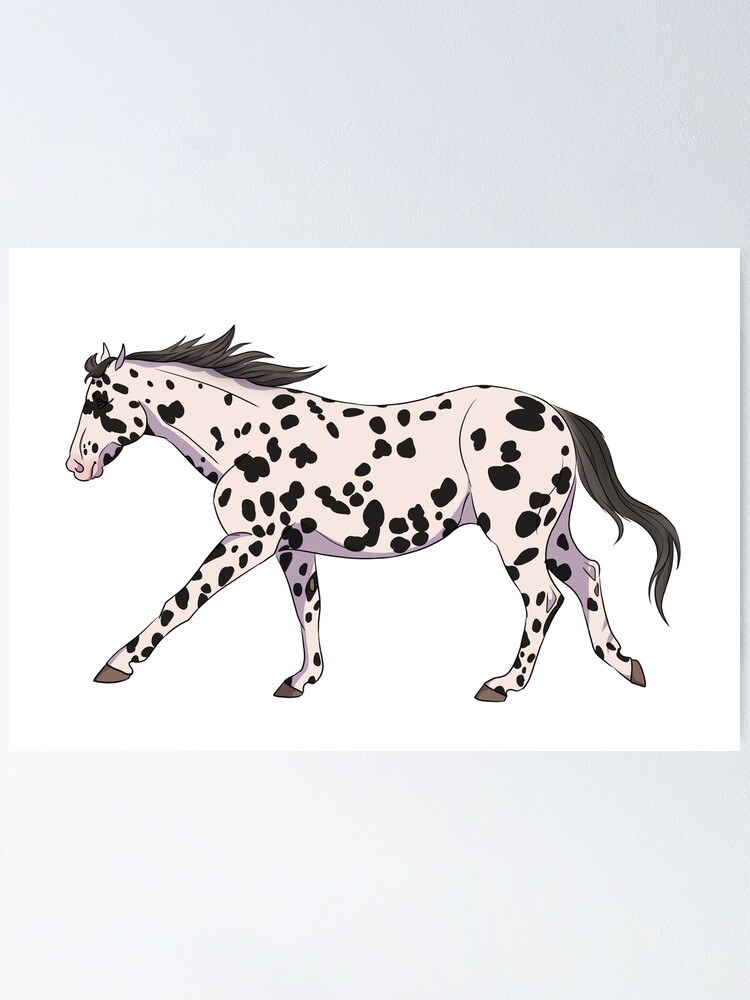 Poster for Sale avec l uvre Cheval Appaloosa de l artiste