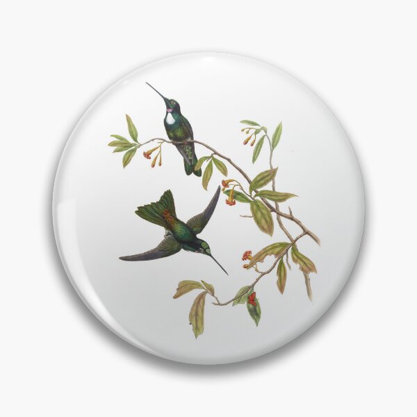 Item preview, Traviess Inca Hummingbirds Vintage Watercolor by John Gould Sweet Pretty Happy Birdwatching Gift designed and sold by ElegantTeaTime.