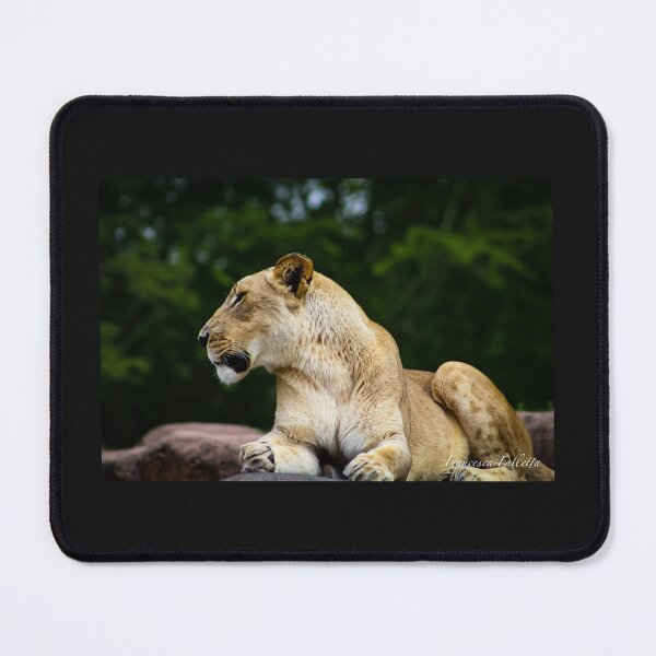 Item preview, The Queen Of The Jungle designed and sold by FallettaInk.