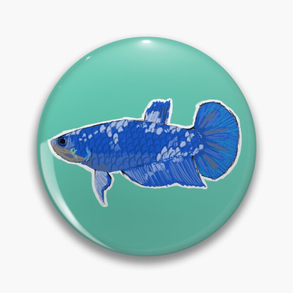 Item preview, Plakat Betta (Female) Betta splendens designed and sold by oldgermanowl.