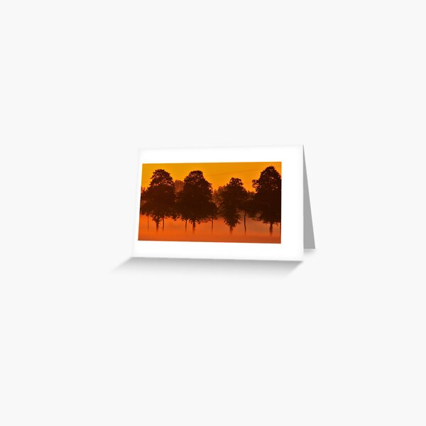 Item preview,  Panoramic,sunset dock,cottage dock,Sunrise dock,dock sunrise,sunrise dock scene,metal photo prints,picture on metal,metal art prints,metal picture prints designed and sold by eyesight4vision.