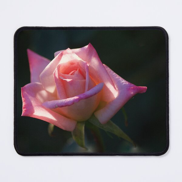 Item preview, Rosée designed and sold by Kim Chi Thai.