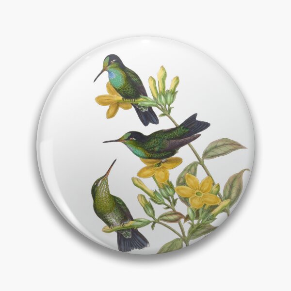 Artikelvorschau, Samtbraue, brillante Kolibris, Vintage-Aquarell von John Gould, süßes, hübsches, glückliches Vogelbeobachtungsgeschenk entworfen und verkauft von ElegantTeaTime.