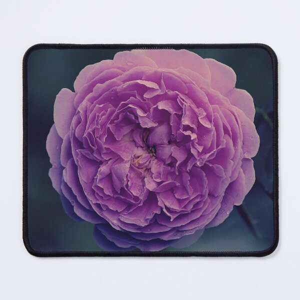 Item preview, Rose designed and sold by Kim Chi Thai.