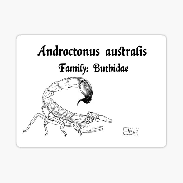Item preview, Androctonus australis designed and sold by DavidNeffArt.