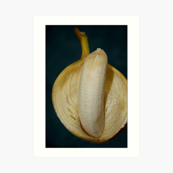 Unsheathed Art Print