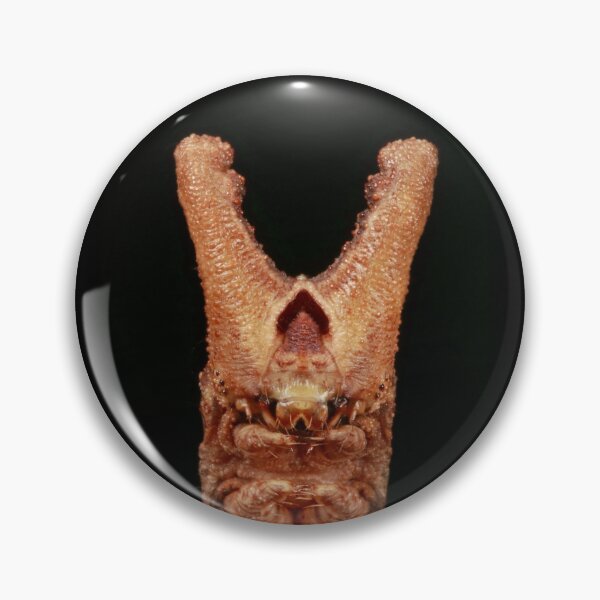 Item preview, Giant Geometrid Moth Caterpillar designed and sold by itchydogimages.