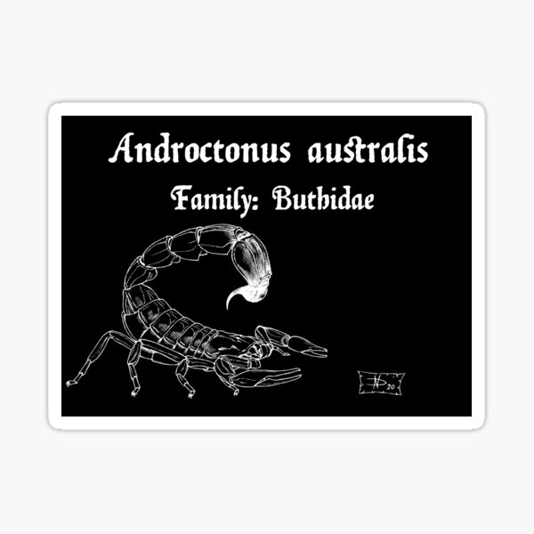 Item preview, Androctonus australis designed and sold by DavidNeffArt.