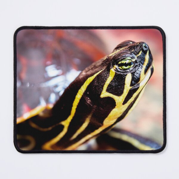 Item preview, Yellow Bellied Slider designed and sold by FOLK ART FUSION by heidiannemorris.