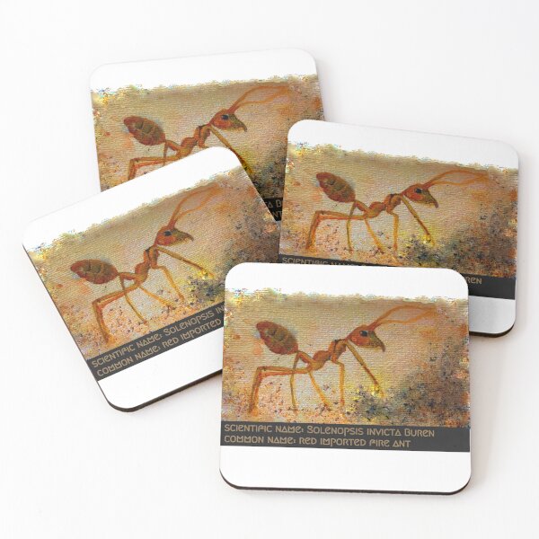 Item preview, Fire Ant watercolor with Scientific Definition-Solenopsis Invicta Buren designed and sold by LkateMc.
