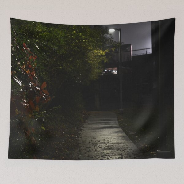 Item preview, Late Night Pathway Photography 2 designed and sold by ThePhotograph03.