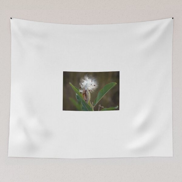 Item preview, Milkweed designed and sold by CarolM.