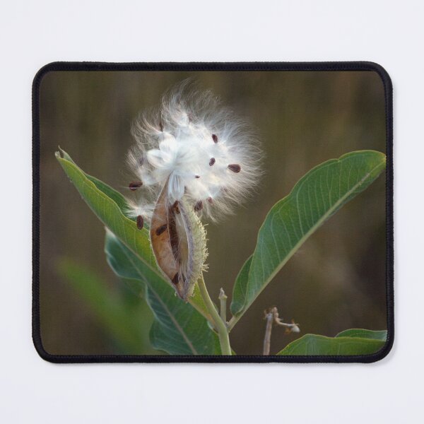 Artikelvorschau, Milkweed entworfen und verkauft von CarolM.