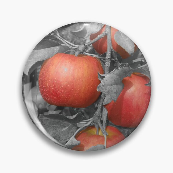 Artikelvorschau, Rote HoneyCrisp-Äpfel mit grauem Hintergrund entworfen und verkauft von HometownMerch.