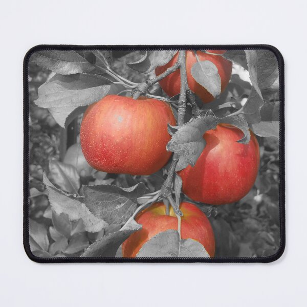 Item preview, Red HoneyCrisp Apples with Grey Background designed and sold by HometownMerch.