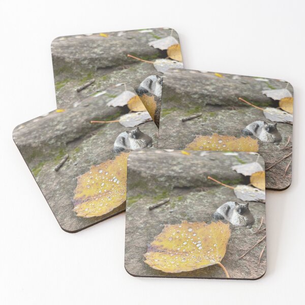 Item preview, Tiny Ching on a rock designed and sold by brielindsay.