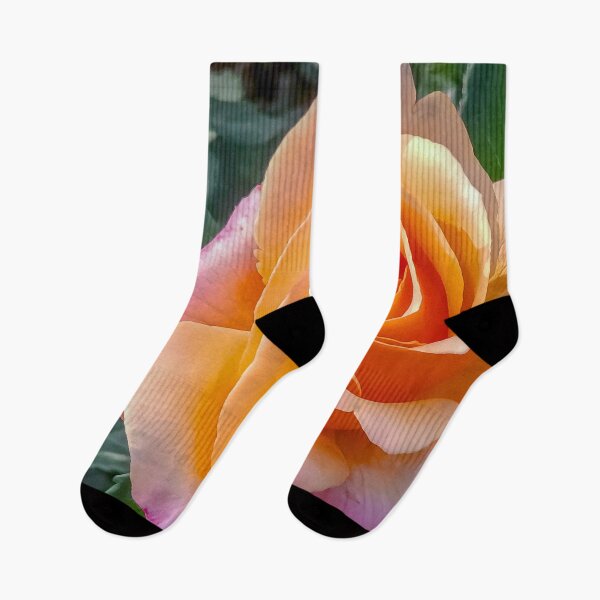 Item preview, Colourful Orange and Pink Rose in Full Bloom - Bendigo, Victoria designed and sold by Steven Jodoin.