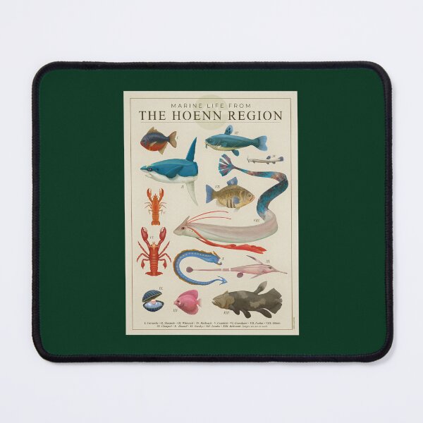Item preview, Marine Life from Hoenn designed and sold by zeldaros.