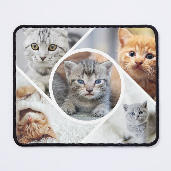 Item preview, Sweet Kittens designed and sold by Designs-MC.