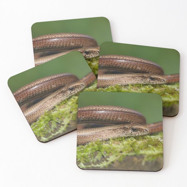 Item preview, Basking slow worm -  Anguis fragilis designed and sold by Christian Moss.