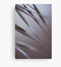 Briznas Canvas Print
