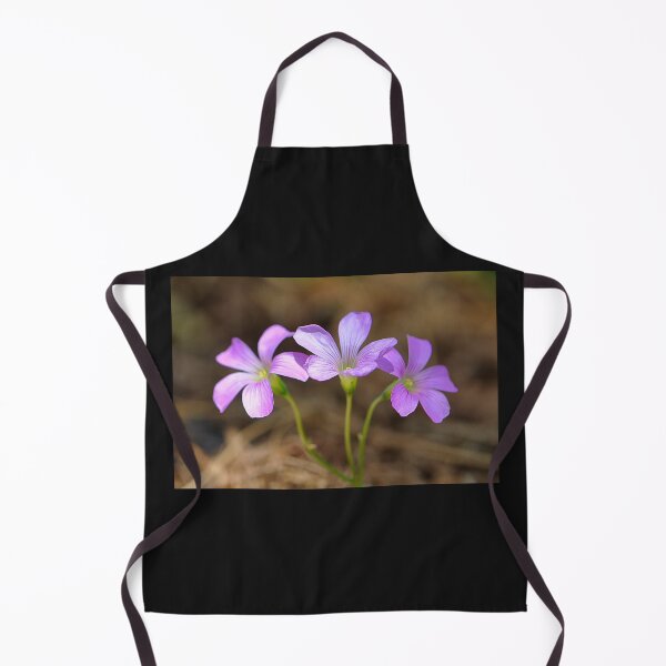 Item preview, Three little pink Woodsorrel flowers in a row designed and sold by IPPhotography.