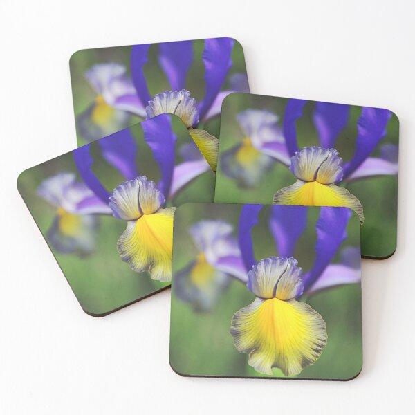 Item preview, Beardless Iris Purples And Yellow designed and sold by Joy Watson - Natural Light Photography .