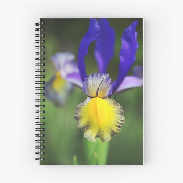 Item preview, Beardless Iris Purples And Yellow designed and sold by Joy Watson - Natural Light Photography .