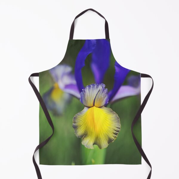 Item preview, Beardless Iris Purples And Yellow designed and sold by Joy Watson - Natural Light Photography .